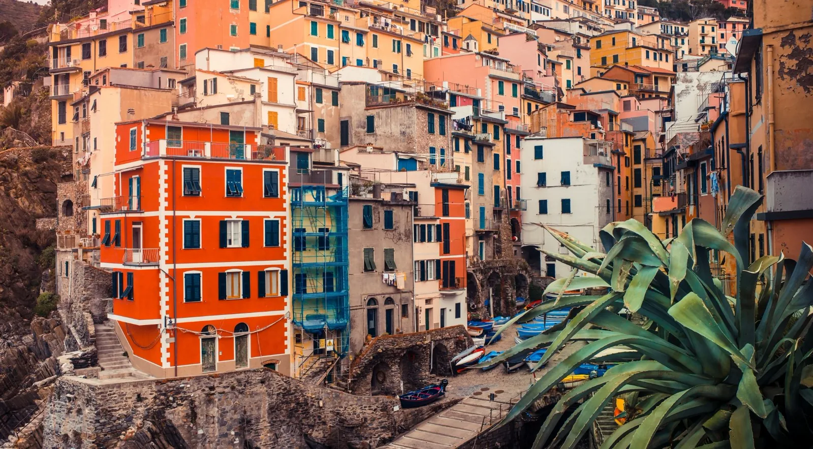 Riomaggiore's pastel tower houses and the carruggi alleys climbing the ravine
